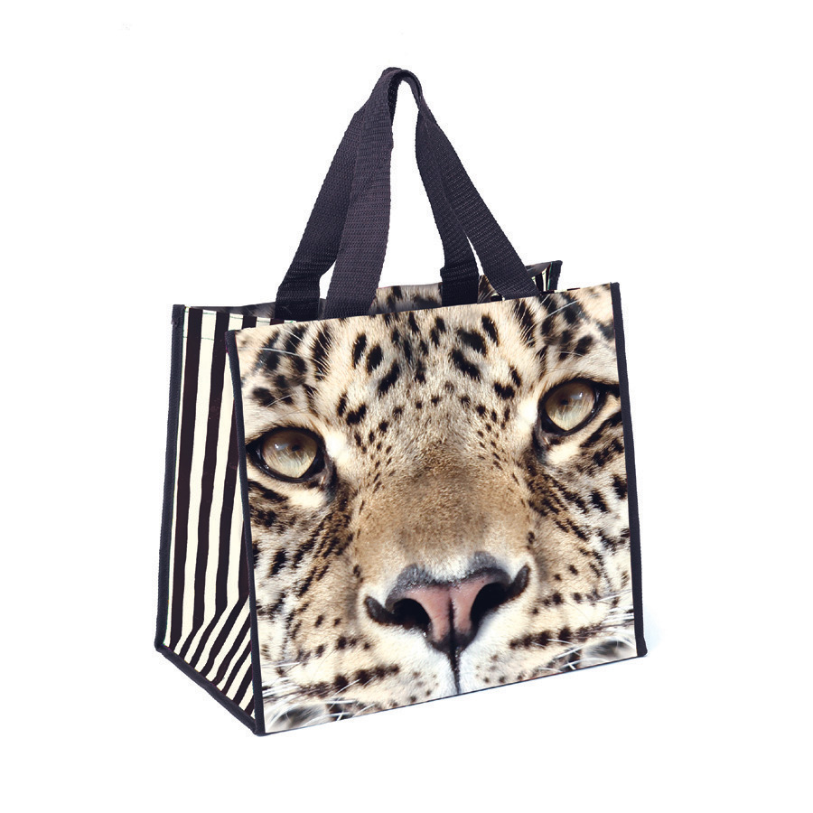 CATSLEOPSHsac-plage-leopard-catseye