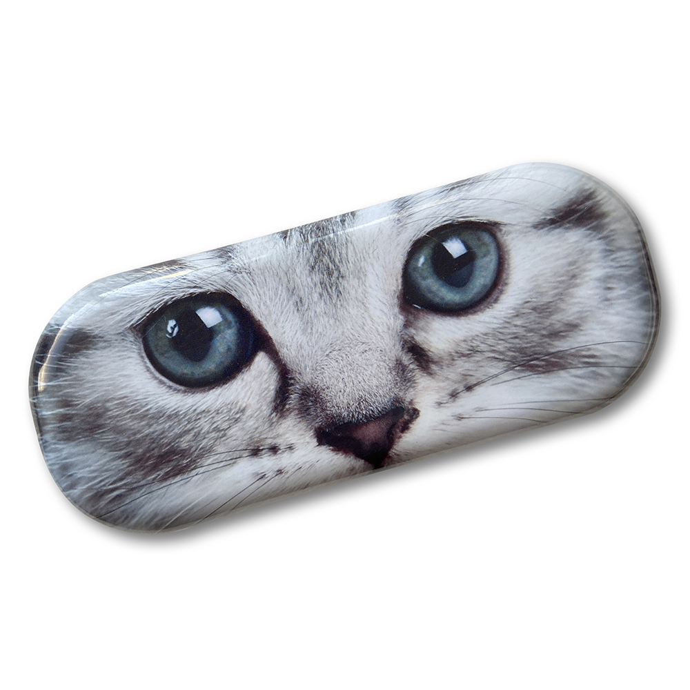 CATSYECHGLetui_lunettes_yeux_chat