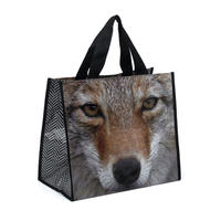 Sac de plage Coyote-Catseye catseye Catseye